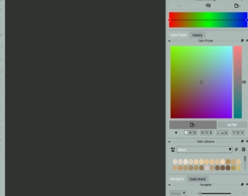 CODIJY Colorizer Pro官方版(照片着色软件)