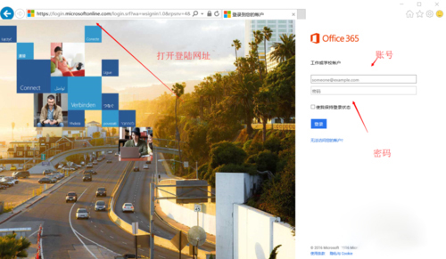 Office 365 官方完整版（Office365）