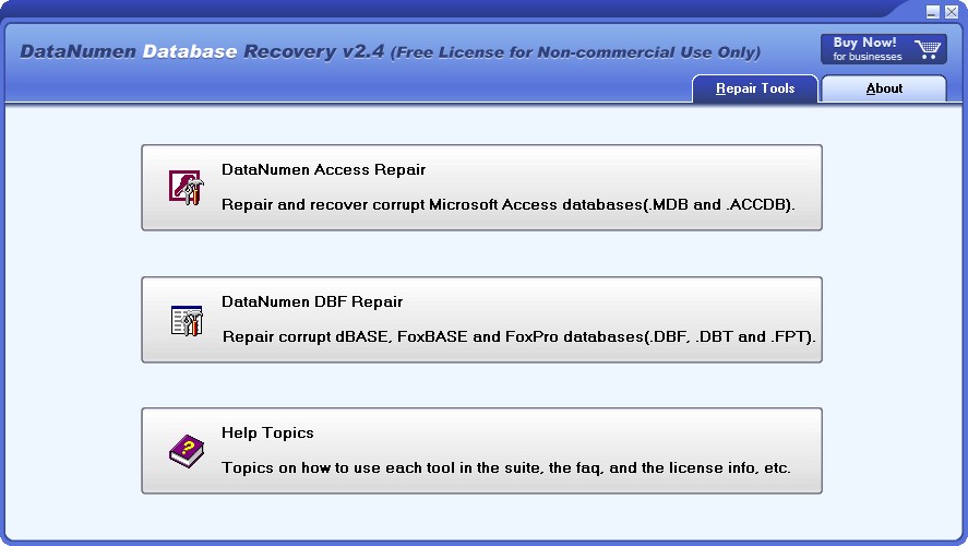 DataNumen Database Recovery英文安装版(数据库恢复软件)