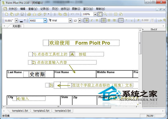 Form Pilot Pro绿色汉化版(填充纸张表格设计)