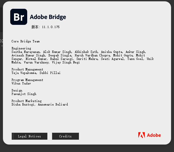 Adobe Bridge 2021绿色直装版