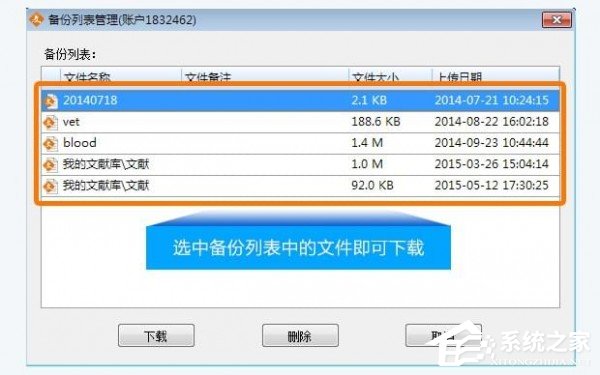 医学文献王中英文安装版