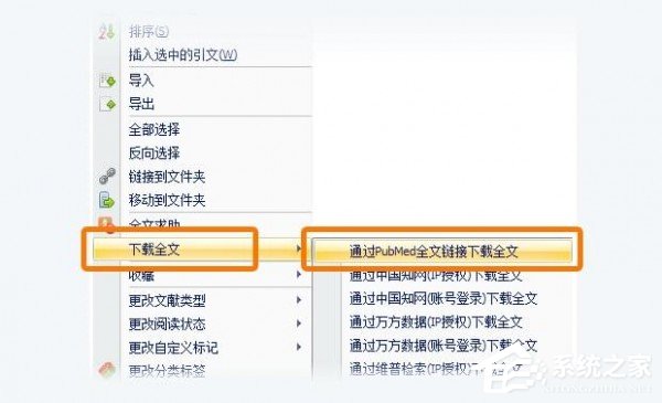 医学文献王中英文安装版