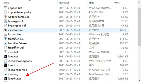 IntelliJ IDEA 2021完美激活版