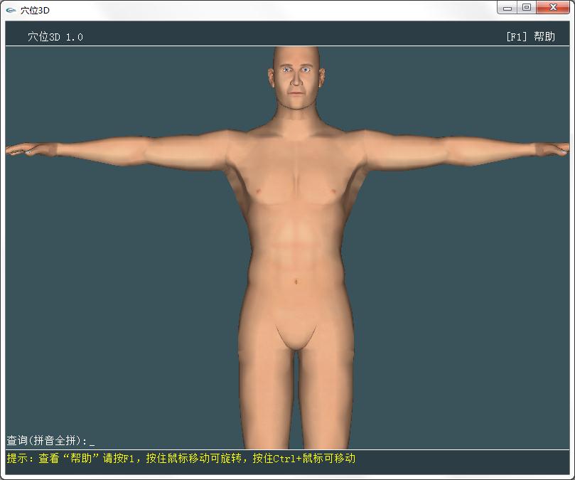 人体穴位3D模型软件官方安装版
