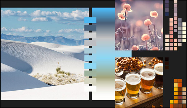 Corel PaintShop Pro 2021中文特别版(照片编辑软件)