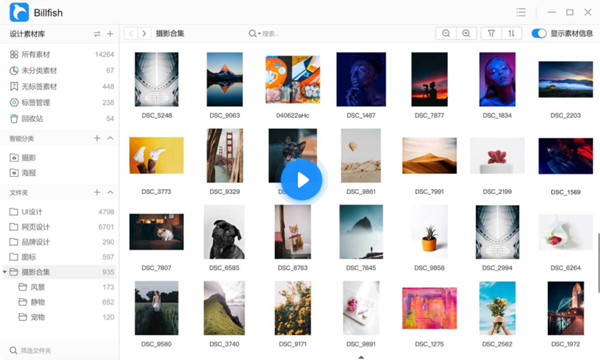 Billfish官方安装版(免费素材管理工具)