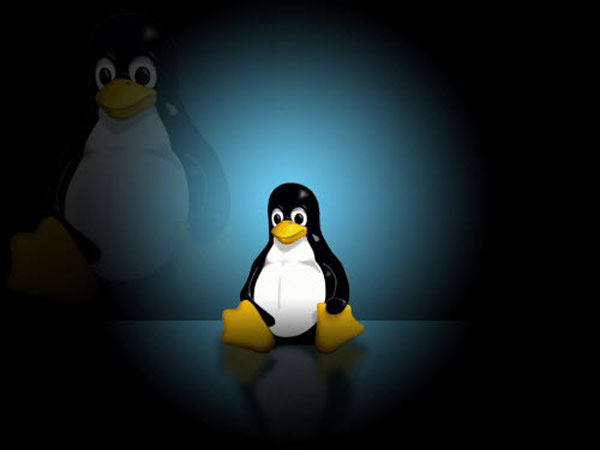 Linux Kernel英文官方安装版