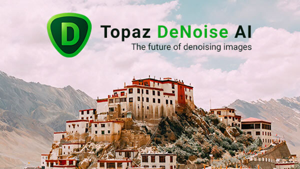 Topaz DeNoise AI绿色安装版(AI图片降噪软件)