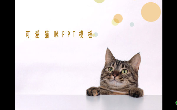 可爱猫咪PPT模板