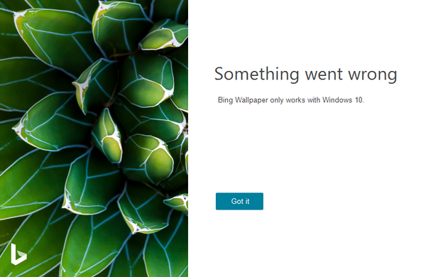 Bing Wallpaper电脑版(必应壁纸软件)