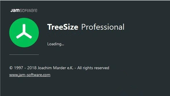 TreeSize Professional官方版(硬盘文件管理软件)