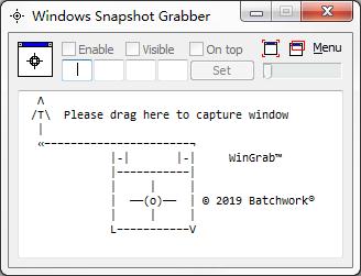 Windows Snapshot Grabber英文安装版(屏幕捕捉截图工具)