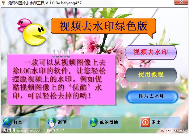 视频&图片去水印工具绿色版