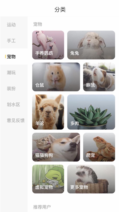 野猪星球