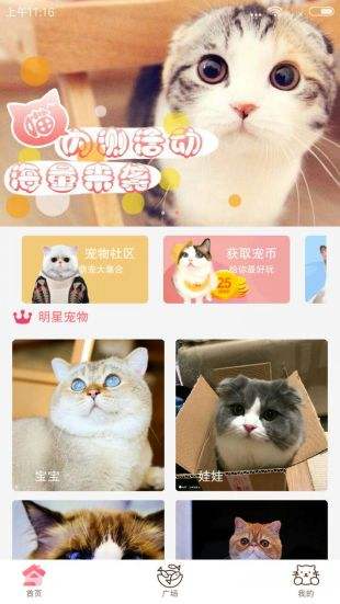 猫咪社区app