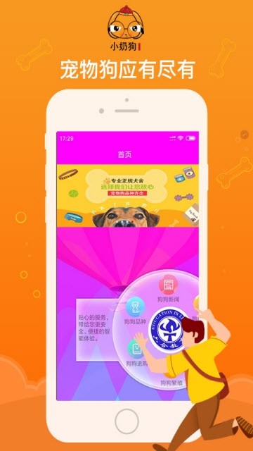 点心桌面app