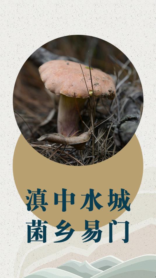 菌乡易门