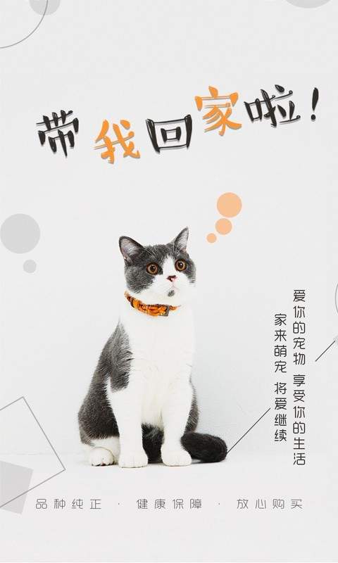 猫行狗市