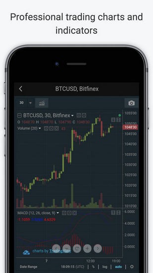 Bitfinex交易平台