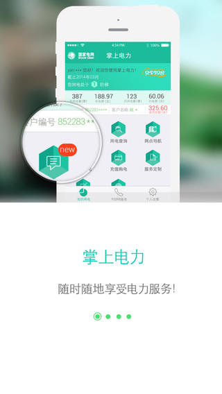 网上国网